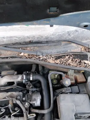 Foto de BRAZO LIMPIA DELANTERO IZQUIERDO RENAULT LAGUNA II (BG0) 1.9 dCi Diesel CAT (101 CV / 74 KW) referencia 7701049033