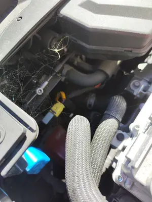 Foto de CLAXON KIA NIRO (SG2) Híbrido 104 kW (1.6 Ltr. - 77 kW) (141 CV / 104 KW) referencia 96620G5500