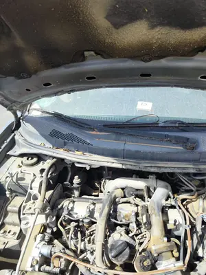 Foto de BRAZO LIMPIA DELANTERO DERECHO NISSAN PRIMERA BERLINA (P12) 1.9 16V Turbodiesel CAT (120 CV / 88 KW) referencia 28886AU312