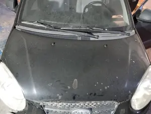 Foto de CAPO KIA PICANTO (SA) 1.1 CAT (65 CV / 48 KW) referencia 6640007510