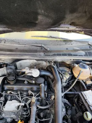 Foto de MOTOR LIMPIA DELANTERO VOLKSWAGEN GOLF III (1H1)(11.1991) 1.9 TDI (110 CV / 81 KW)
