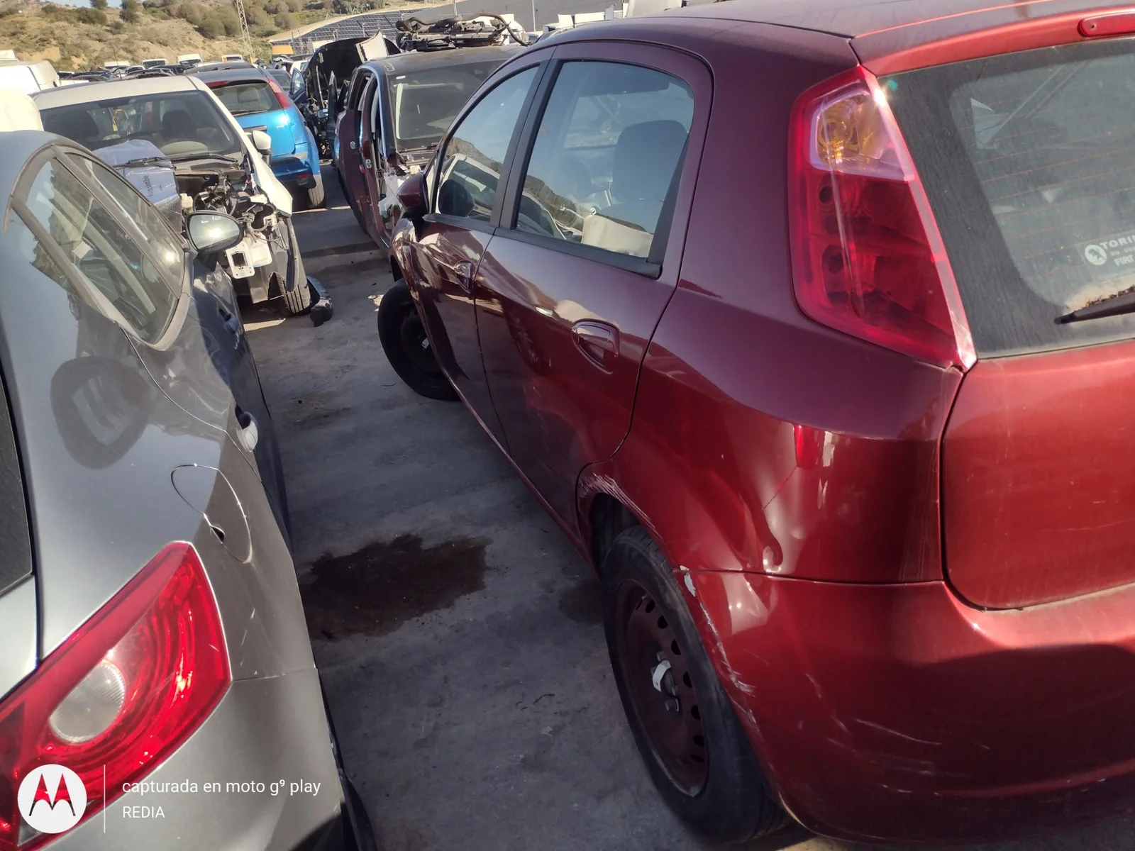 Foto de PILOTO TRASERO IZQUIERDO FIAT GRANDE PUNTO (199) 1.2 CAT (65 CV / 48 KW) referencia 0051701589