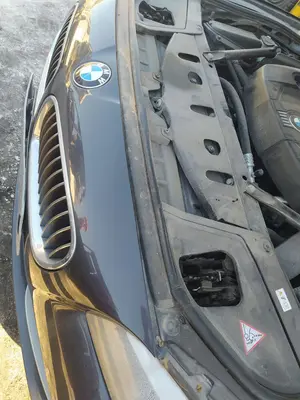 Foto de PANEL FRONTAL BMW SERIE 5 TOURING (F11) 2.0 Turbodiesel (218 CV / 160 KW)