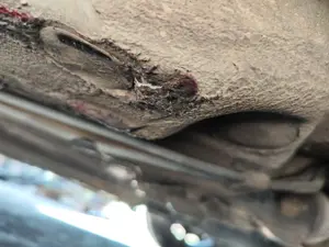 Foto de TUBO ESCAPE TRASERO VOLKSWAGEN PASSAT BERLINA (3B2) 1.9 TDI (116 CV / 85 KW)
