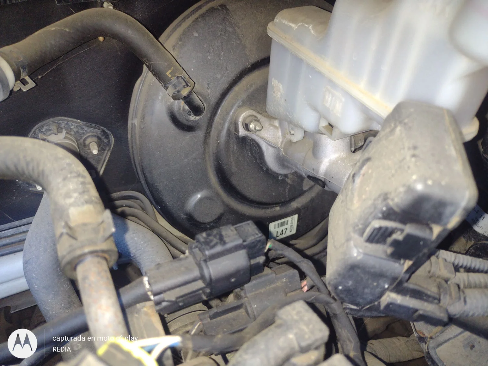 Foto de SERVOFRENO KIA RIO (UB) 1.2 CAT (86 CV / 63 KW) referencia KLUB0157