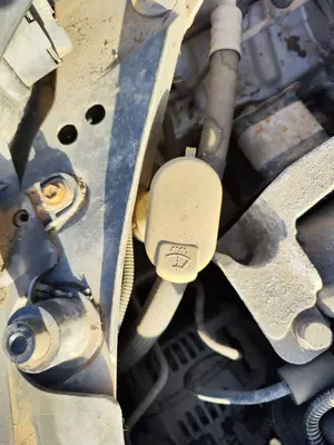 Foto de DEPOSITO LIMPIA RENAULT CLIO III 1.4 16V (98 CV / 72 KW)
