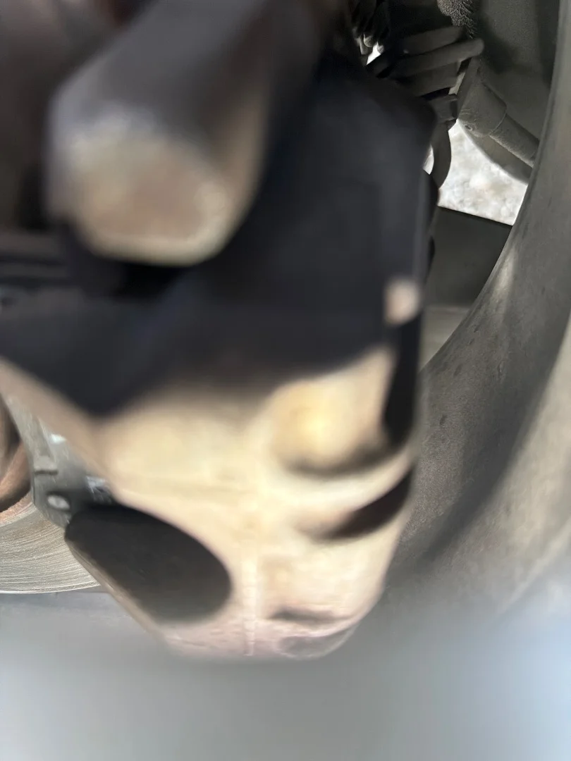 Foto de PINZA DE FRENO DELANTERA DERECHA SEAT LEON (1P1)