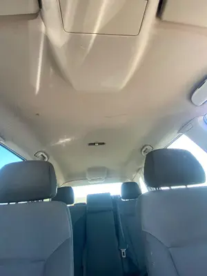 Foto de TECHO INTERIOR OPEL ZAFIRA B 1.9 CDTI (120 CV / 88 KW) referencia 13256060