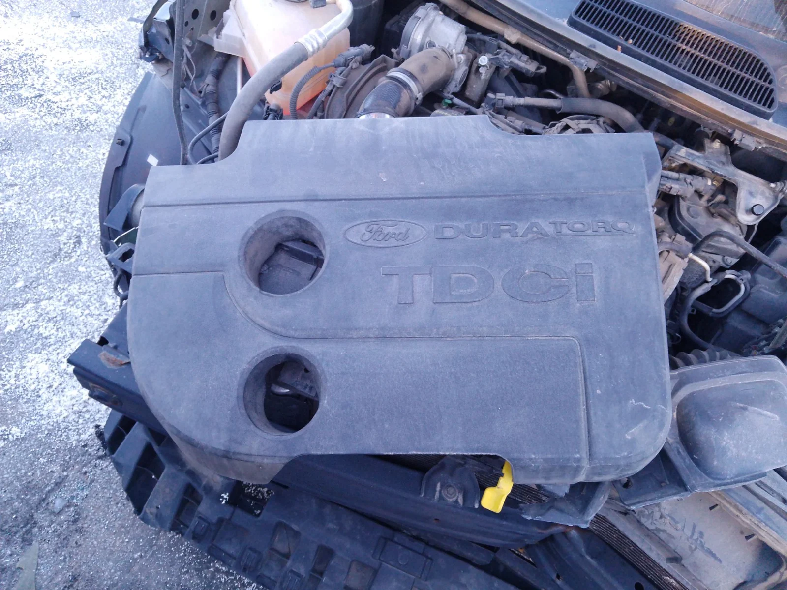 Foto de TAPA MOTOR FORD FIESTA (CNN) 1.5 TDCi CAT (75 CV / 55 KW)