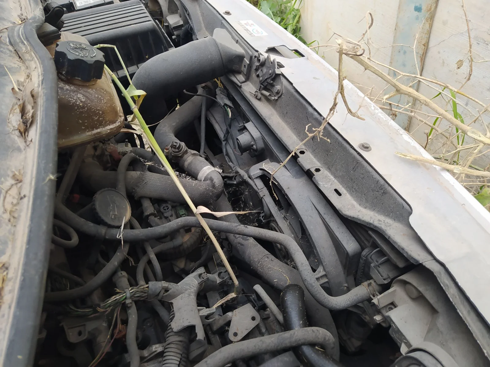 Foto de VENTILADOR CALEFACCION PEUGEOT EXPERT FURGÓN COMFORT (1995) 2.0 HDi (109 CV / 80 KW)