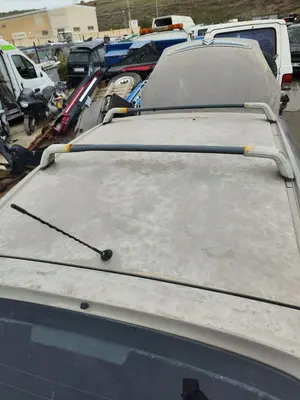 Foto de TECHO CITROEN XSARA PICASSO 2.0 HDi CAT (RHY / DW10TD) (90 CV / 66 KW) foto 2