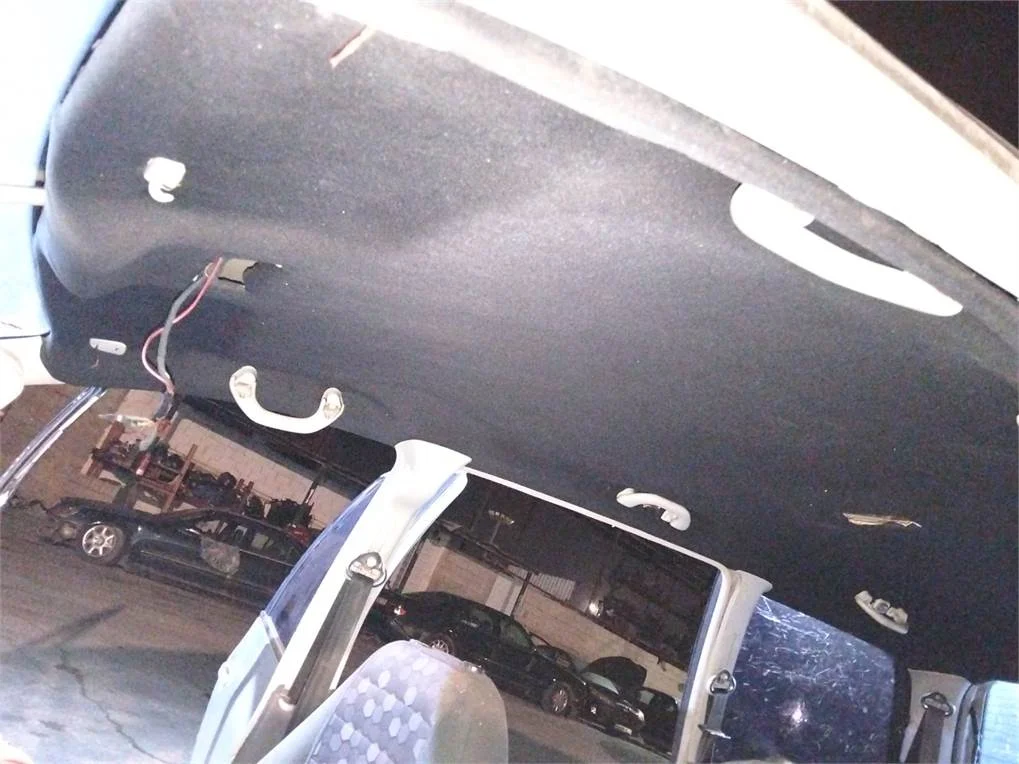 Foto de TECHO INTERIOR SEAT ALHAMBRA (7V9)