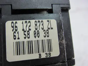 Foto de MANDO LIMPIA CITROEN XSARA PICASSO 2.0 HDi CAT (RHY / DW10TD) (90 CV / 66 KW) referencia 96172873ZL foto 4