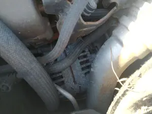 Foto de ALTERNADOR RENAULT CLIO III 1.5 dCi Diesel CAT (86 CV / 63 KW) referencia 231008578R