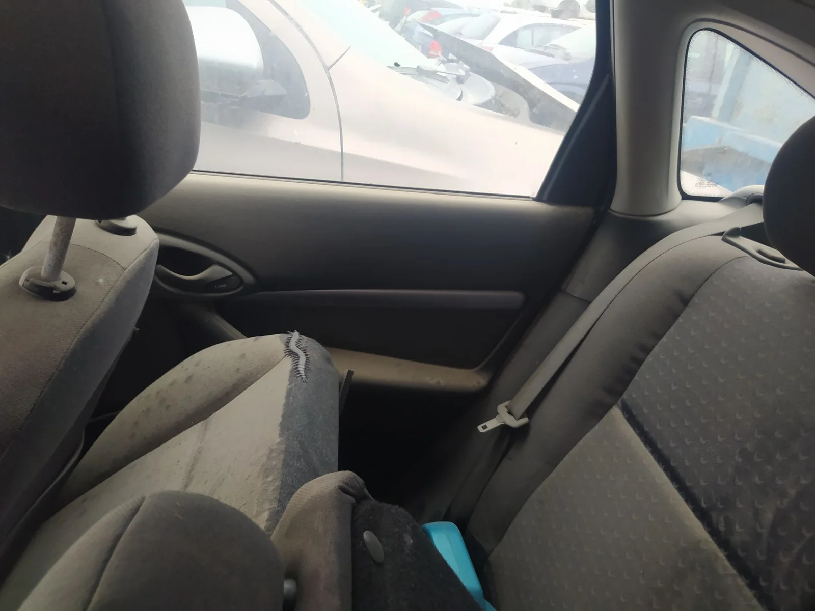 Foto de GUARNECIDO PUERTA TRASERA DERECHA FORD FOCUS BERLINA (CAK) 1.8 TDDI Turbodiesel CAT (90 CV / 66 KW) referencia 1102247