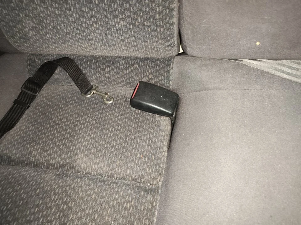 Foto de ENGANCHE CINTURON TRASERO DERECHO HONDA CIVIC COUPÉ (EJ6/8) 1.6 CAT (105 CV / 77 KW) referencia 82420ST3E11
