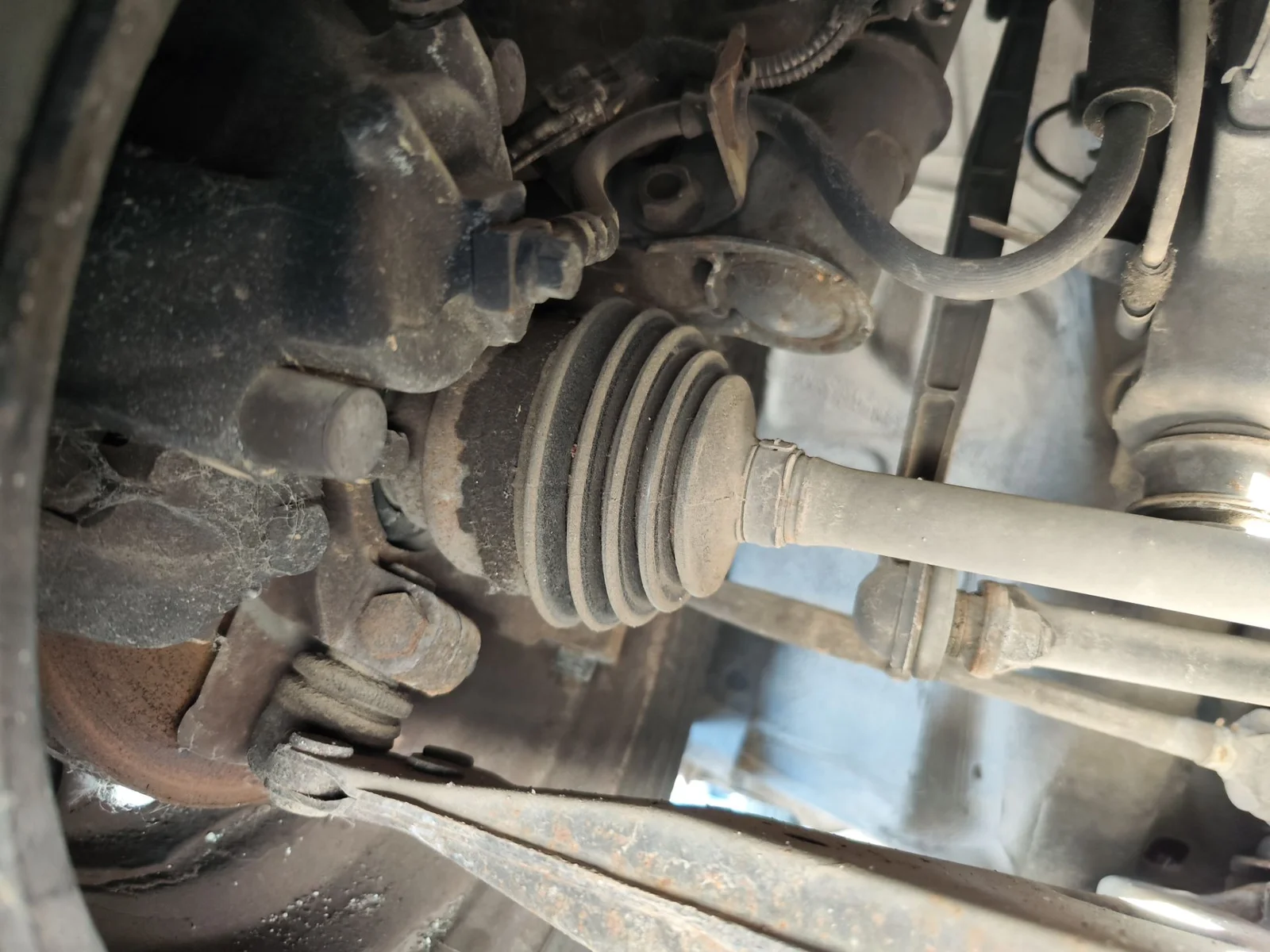 Foto de PINZA DE FRENO DELANTERA DERECHA OPEL ZAFIRA A 1.6 16V (101 CV / 74 KW) referencia 93176427