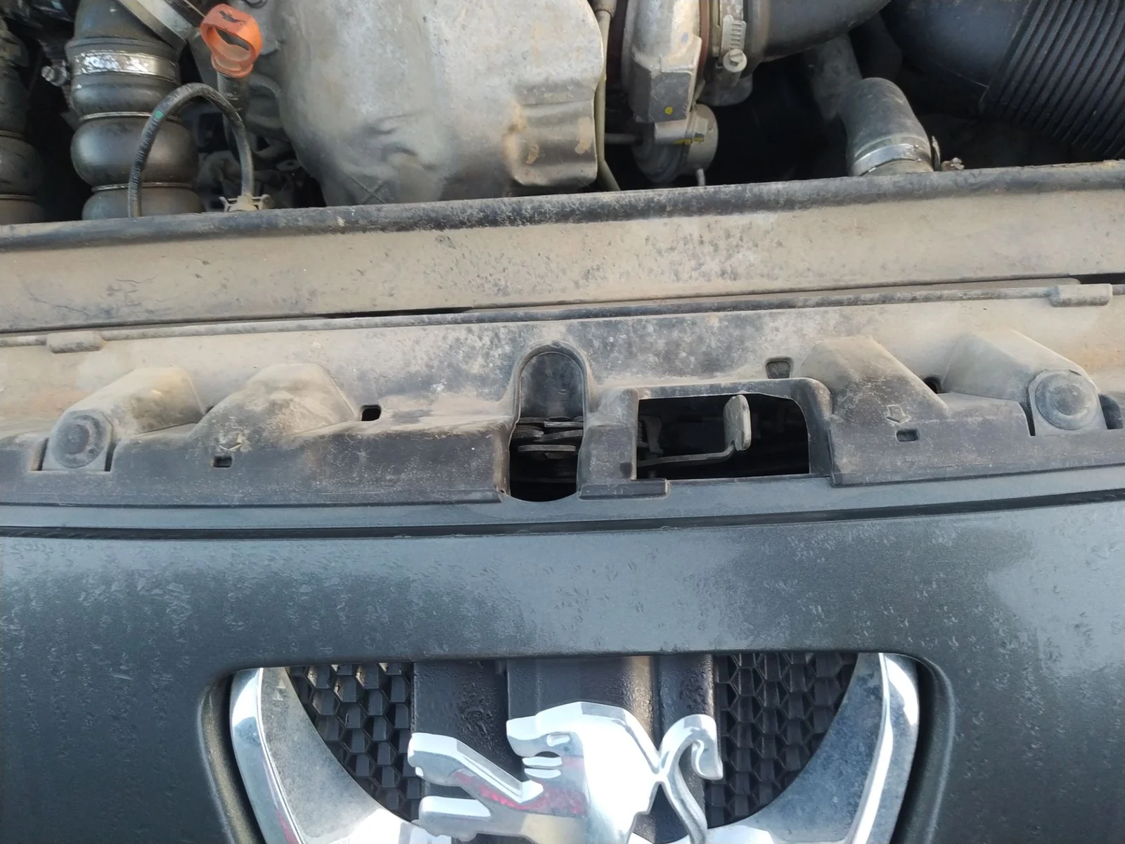 Foto de CERRADURA CAPO PEUGEOT 308 1.6 16V HDi (90 CV / 66 KW) referencia 7934A1