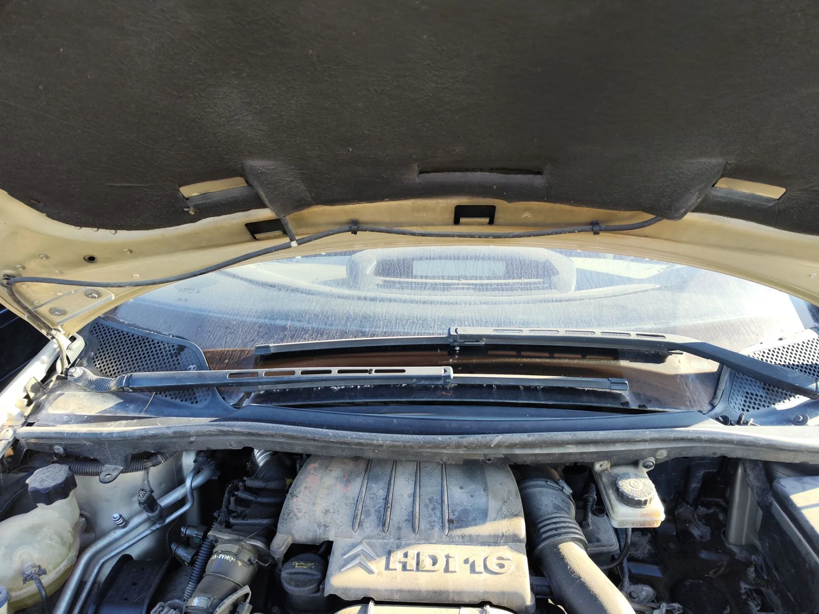 Foto de ARTICULACION LIMPIA DELANTERA CITROEN C4 BERLINA 1.6 16V HDi (90 CV / 66 KW)