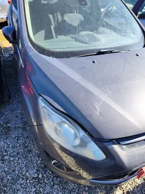 Foto de CAPO FORD C-MAX (CB7) 1.6 TDCi CAT (116 CV / 85 KW) foto 2