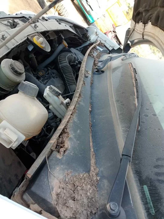 Foto de TORPEDO NISSAN NV400 FURGON (X62) 2.3 dCi Diesel CAT (125 CV / 92 KW)