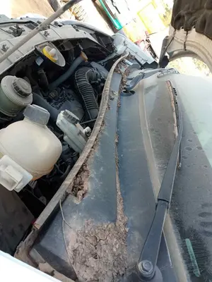 Foto de TORPEDO NISSAN NV400 FURGON (X62) 2.3 dCi Diesel CAT (125 CV / 92 KW)