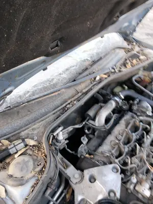 Foto de TORPEDO RENAULT LAGUNA II (BG0) 1.9 dCi Diesel CAT (101 CV / 74 KW)