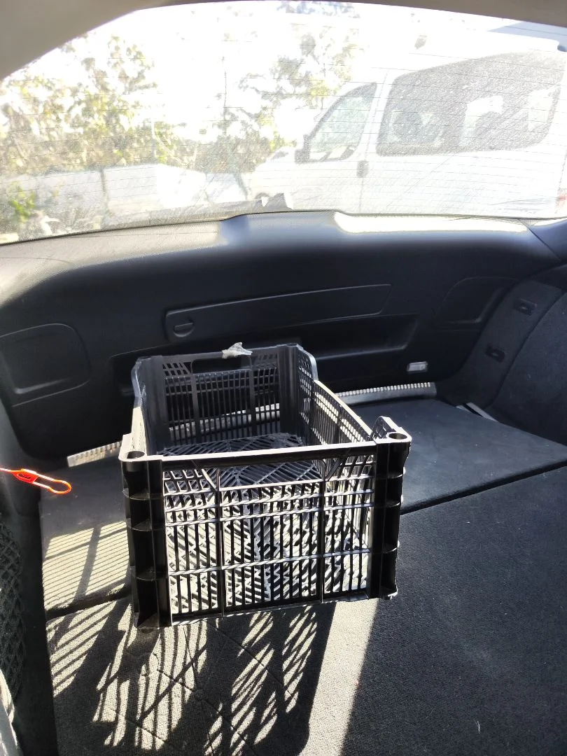 Foto de GUARNECIDO PORTON TRASERO AUDI A6 AVANT (4GD) 2.0 16V TDI (190 CV / 140 KW) referencia 4G9867979E