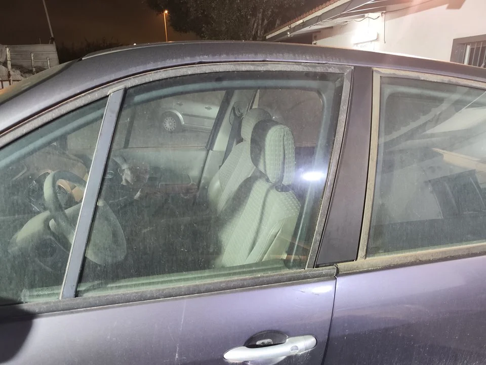Foto de LUNA DELANTERA IZQUIERDA RENAULT SCENIC II (JM) 1.9 dCi Diesel (120 CV / 88 KW) referencia 8200120589
