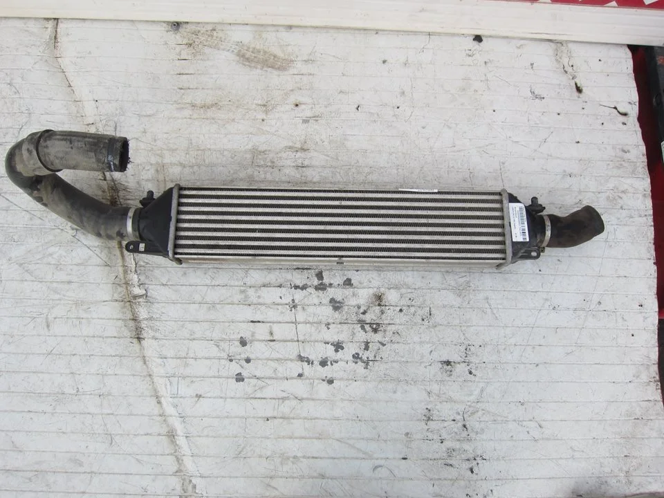 Foto de INTERCOOLER LANCIA DELTA (181) 1.6 Diesel CAT (120 CV / 88 KW) referencia 866455500
