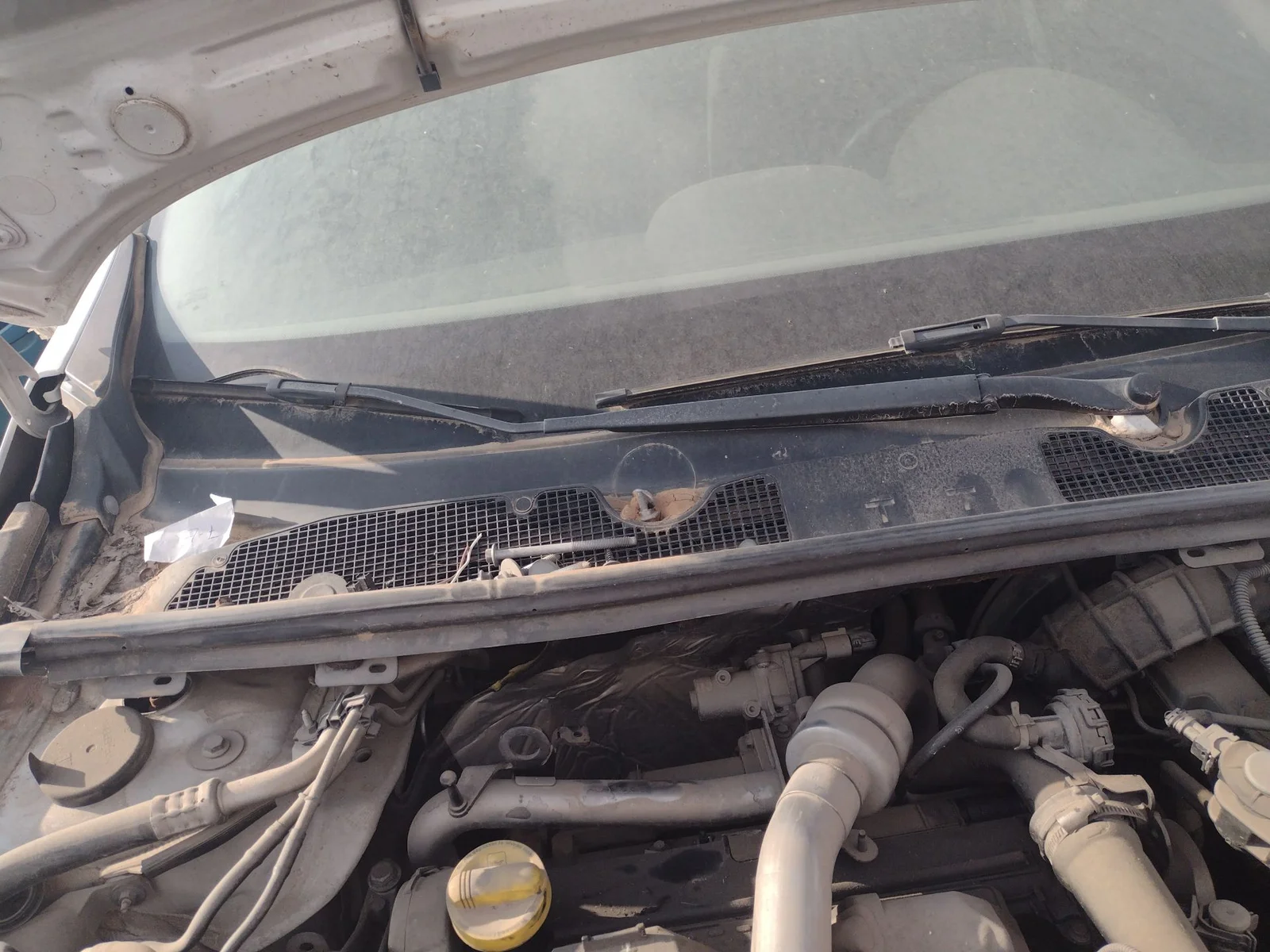 Foto de BRAZO LIMPIA DELANTERO DERECHO RENAULT MEGANE III BERLINA 5P 1.6 16V CAT (101 CV / 74 KW) referencia 288866482R