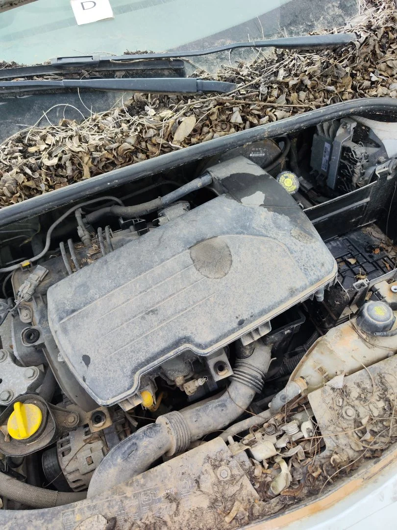 Foto de TAPA MOTOR RENAULT CLIO III 1.2 16V (75 CV / 55 KW)