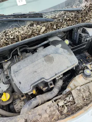 Foto de TAPA MOTOR RENAULT CLIO III 1.2 16V (75 CV / 55 KW)
