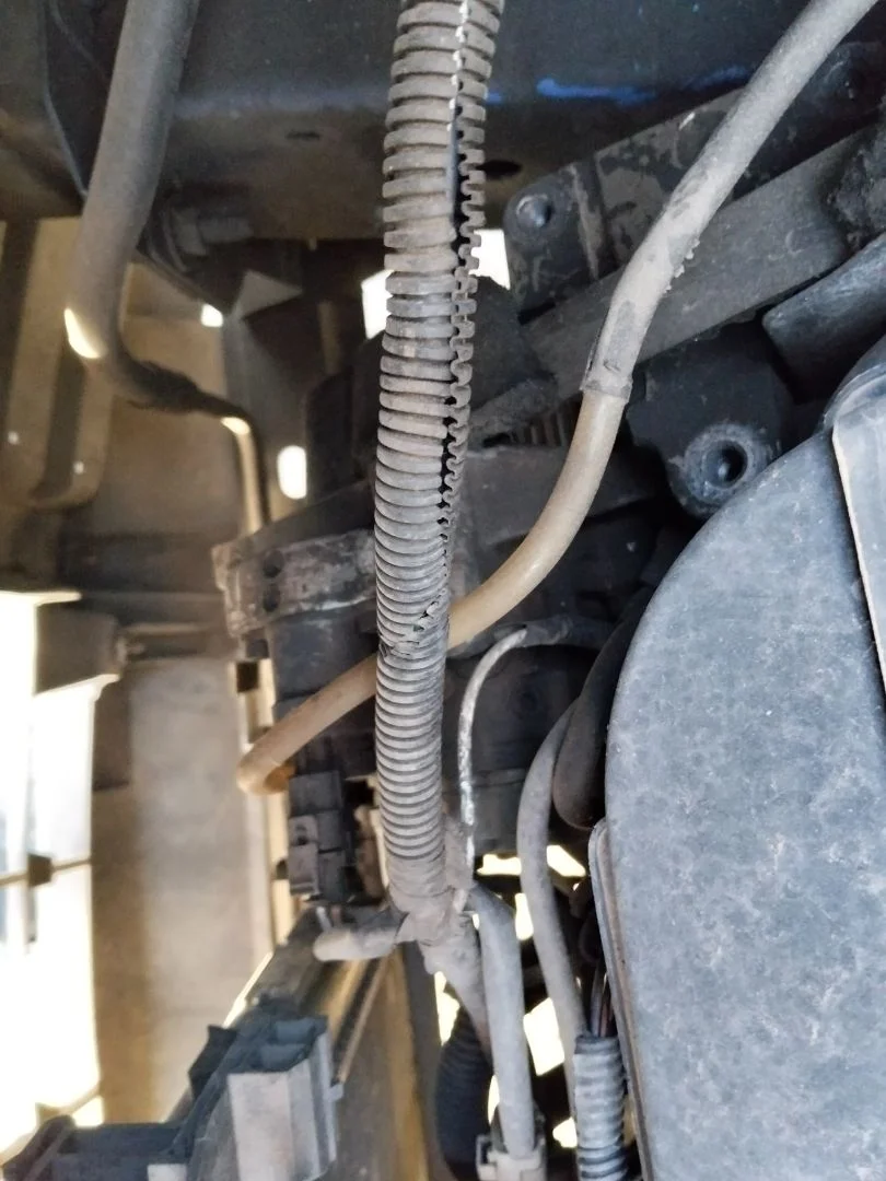 Foto de BOMBA DIRECCION RENAULT TRAFIC II COMBI 1.9 Diesel (101 CV / 74 KW)