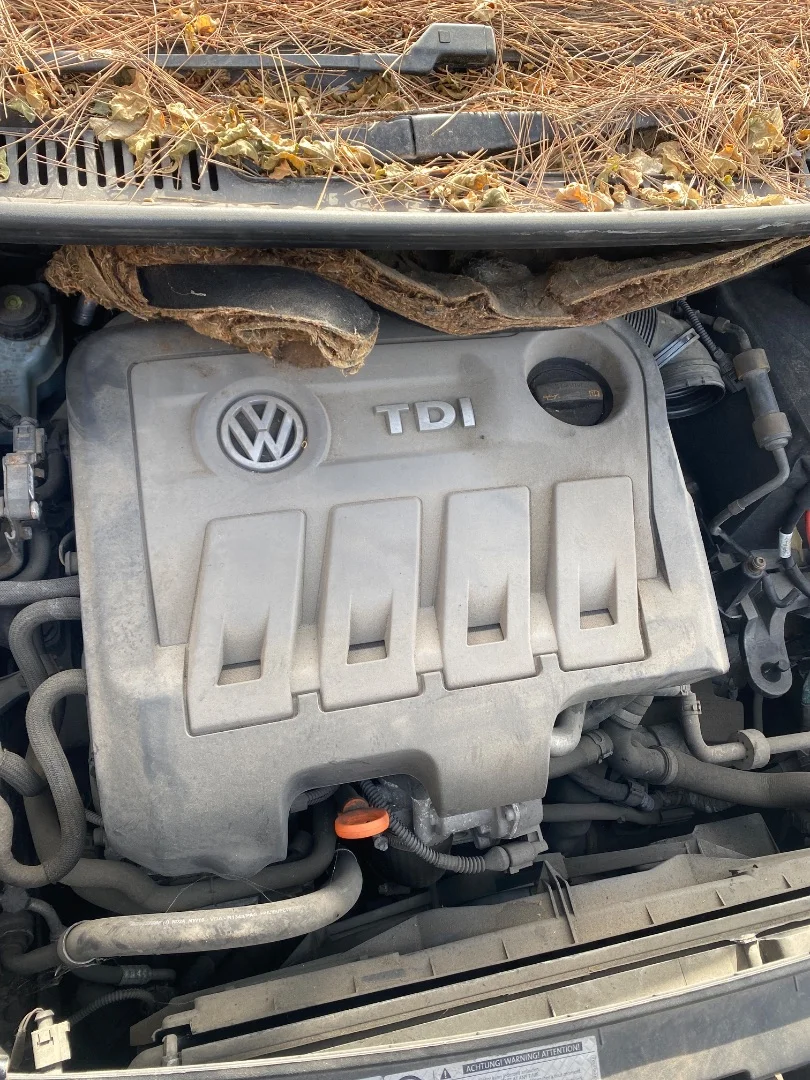 Foto de TAPA MOTOR VOLKSWAGEN TOURAN (1T3) 1.6 TDI DPF (105 CV / 77 KW)