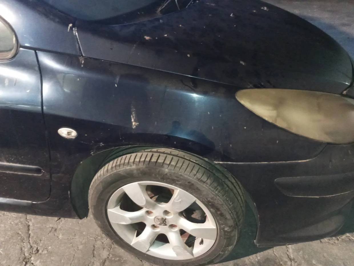 Foto de ALETA DELANTERA DERECHA PEUGEOT 307 CC CABRIO-COUPÉ (S2)