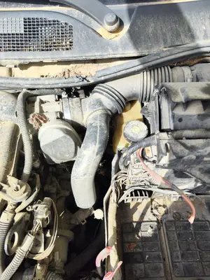 Foto de SERVOFRENO RENAULT MEGANE II BERLINA 5P 1.6 CAT (113 CV / 83 KW) referencia 7701208718