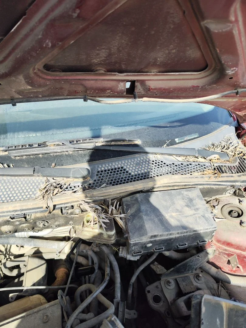 Foto de MOTOR LIMPIA DELANTERO FORD FOCUS BERLINA (CAK) 1.6 16V CAT (101 CV / 74 KW)