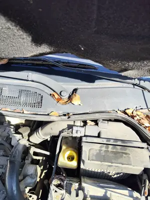 Foto de MOTOR LIMPIA DELANTERO RENAULT MEGANE II BERLINA 5P 1.5 dCi Diesel (101 CV / 74 KW)
