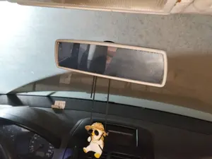 Foto de RETROVISOR INTERIOR VOLKSWAGEN POLO IV (9N1)
