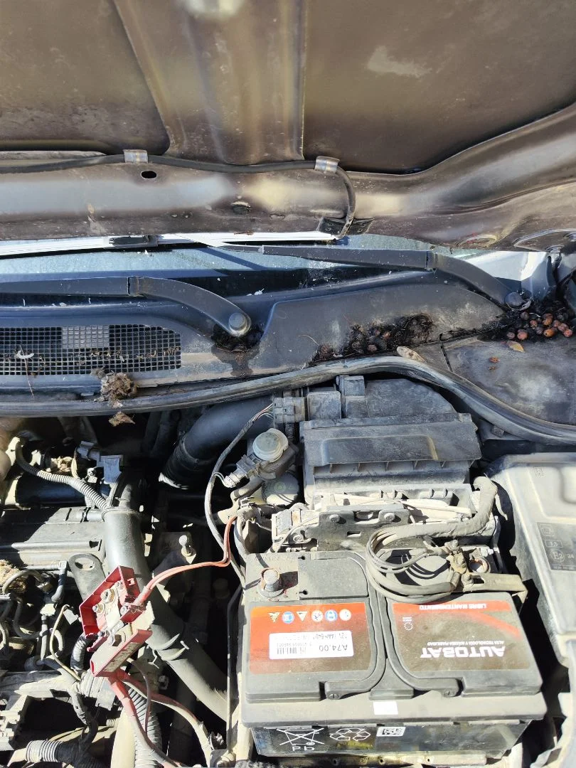 Foto de MOTOR LIMPIA DELANTERO RENAULT MEGANE II BERLINA 5P 1.5 dCi Diesel (101 CV / 74 KW) referencia 7701054828