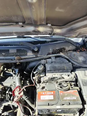 Foto de MOTOR LIMPIA DELANTERO RENAULT MEGANE II BERLINA 5P 1.5 dCi Diesel (101 CV / 74 KW) referencia 7701054828