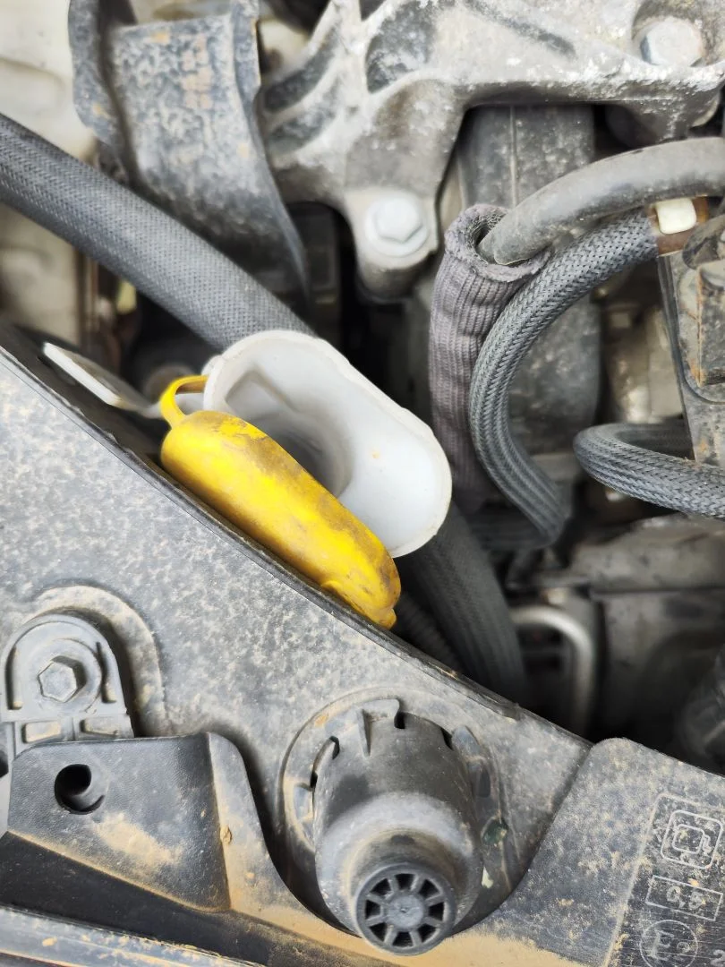 Foto de DEPOSITO LIMPIA RENAULT CLIO III 1.5 dCi Diesel FAP (75 CV / 55 KW)