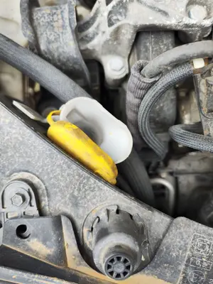 Foto de DEPOSITO LIMPIA RENAULT CLIO III 1.5 dCi Diesel FAP (75 CV / 55 KW)