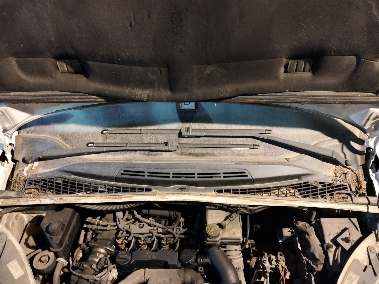 Foto de TORPEDO CITROEN XSARA PICASSO