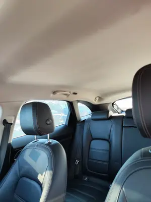 Foto de TECHO INTERIOR JAGUAR F-PACE 3.0 V6 Diesel CAT (301 CV / 221 KW) referencia T4A3007PVJ foto 3