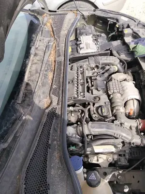 Foto de TORPEDO CITROEN C3