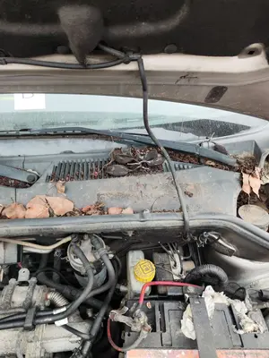 Foto de BRAZO LIMPIA DELANTERO IZQUIERDO FIAT I DOBLÒ (119) 1.9 JTD CAT (105 CV / 77 KW)