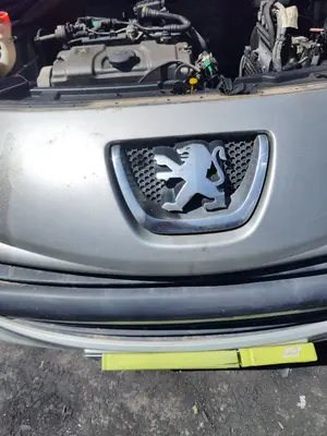Foto de REJILLA DELANTERA PEUGEOT 207 1.4  (73 CV / 54 KW) referencia 7414QA
