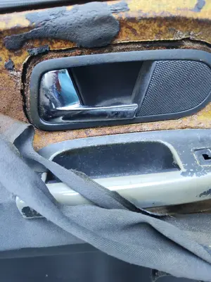 Foto de MANETA INTERIOR TRASERA IZQUIERDA SEAT ALHAMBRA (7V9) 1.9 TDI (116 CV / 85 KW)